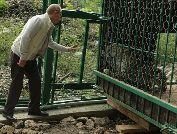 Vladimir Putin visits Sochi National Park Vladimir Putin visits Sochi National Park - Sputnik International