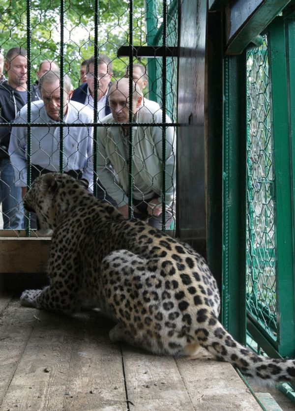 Vladimir Putin visits Sochi National Park Vladimir Putin visits Sochi National Park - Sputnik International