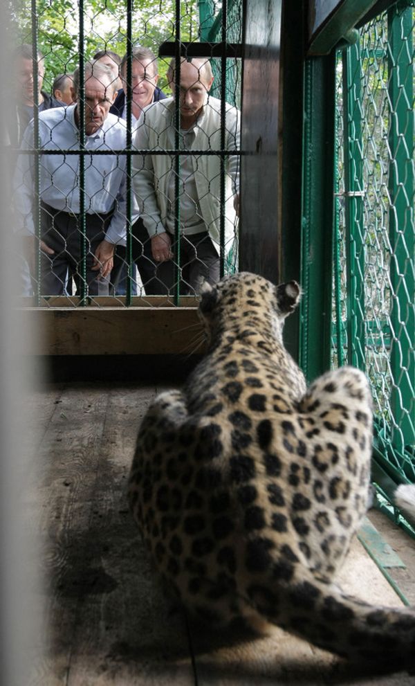 Vladimir Putin visits Sochi National Park Vladimir Putin visits Sochi National Park - Sputnik International