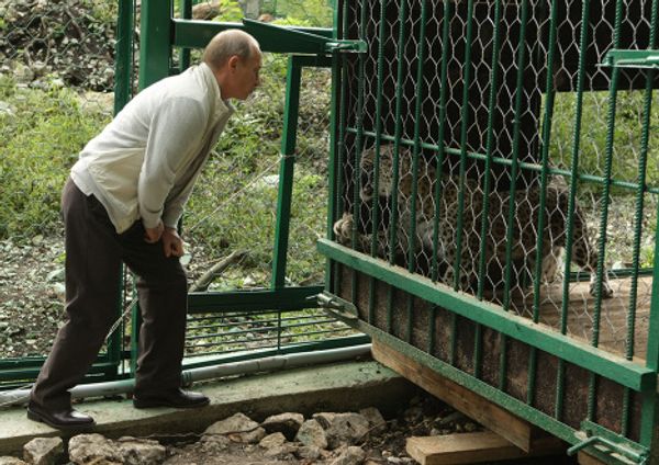 Vladimir Putin visits Sochi National Park Vladimir Putin visits Sochi National Park - Sputnik International