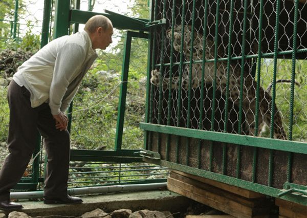 Vladimir Putin visits Sochi National Park Vladimir Putin visits Sochi National Park - Sputnik International
