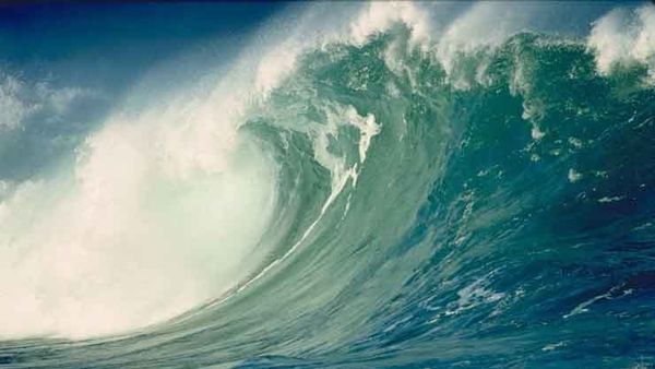 Tsunami - Sputnik International