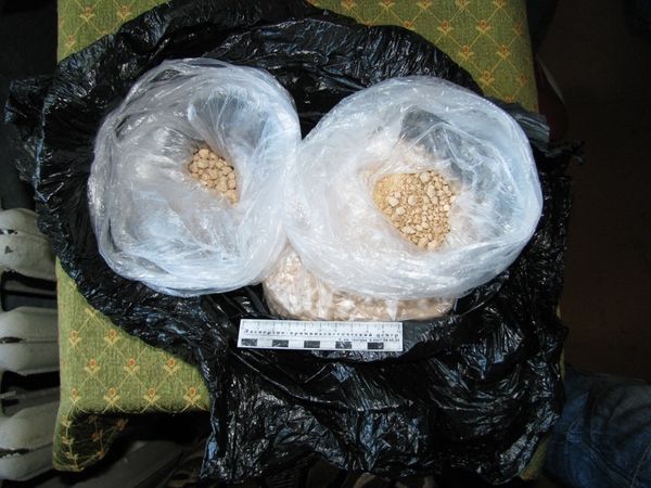 Drug Police Nab Man Transporting $1.5M of Heroin in Moscow - Sputnik International