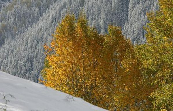 Germany, Austria and Poland hit by snowstorms - Sputnik International