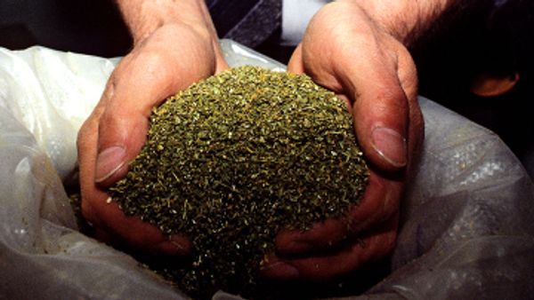 El Universal newspaper cited Wilmer Flores Trosel, head of the Venezuelan Corps for Scientific Penal and Criminal Investigations (CICPC), as saying that the illicit drugs, hidden in mattresses, had been transported by three trucks. - Sputnik International