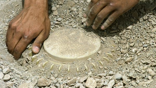 Field engineer demining Field engineer demining - Sputnik International