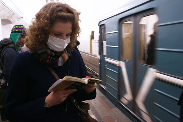 Preventive measures against swine flu Preventive measures against swine flu - Sputnik International