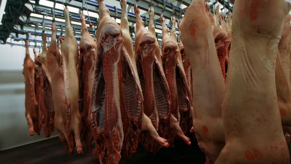 Russian pork - Sputnik International