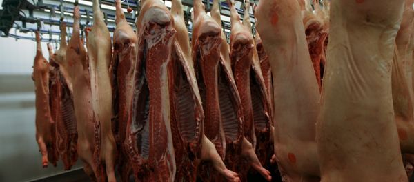 Russian pork - Sputnik International