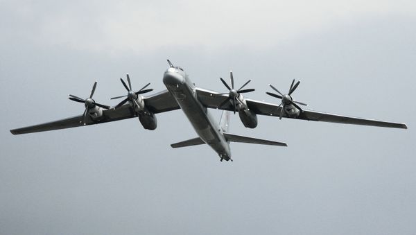 According to preliminary data, the crash has been caused by a technical failure - Sputnik International