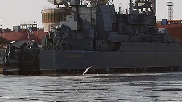 The first of three Project 11356 frigates Yantar shipyard is building on an Indian order has been floated out - Sputnik International