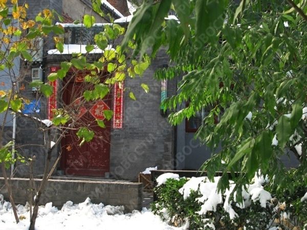 Snowfall in China  - Sputnik International