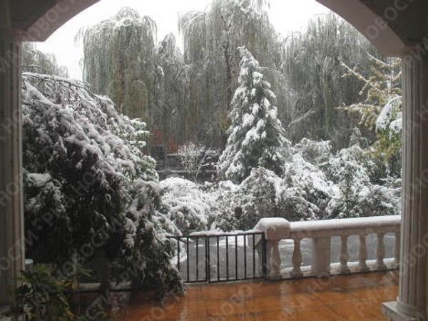 Snowfall in China  - Sputnik International