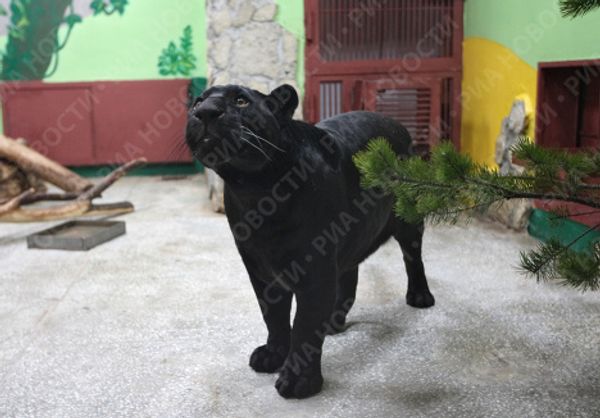 Yekaterinburg Zoo's new residents move in - Sputnik International