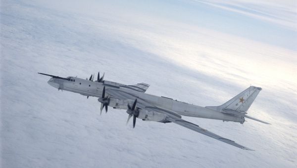 A Tupolev Tu-95 Bear strategic bomber - Sputnik International