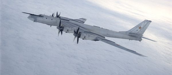 A Tupolev Tu-95 Bear strategic bomber A Tupolev Tu-95 Bear strategic bomber - Sputnik International