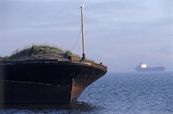 а boat - Sputnik International