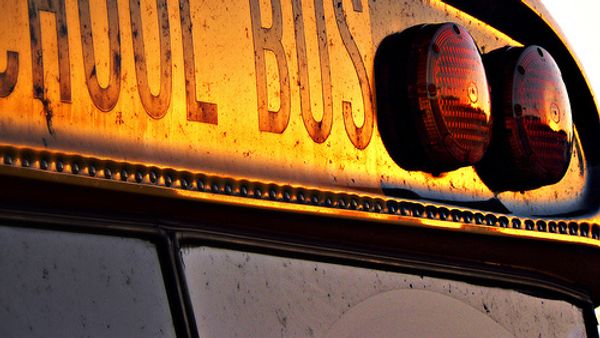 School bus - Sputnik International