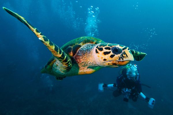 The Red Sea, Egypt - Sputnik International