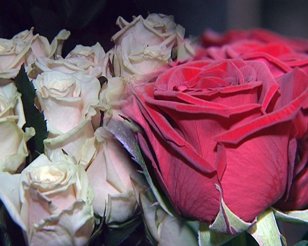 The suspect reportedly said he remembered nothing of what he was accused of, citing he was drunk at the time of his detention. However, he pledged to cover the loss to flower shop owners. - Sputnik International