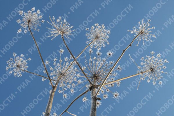 Russian cities are cold, even colder than usual - Sputnik International