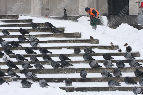 Heavy snow covers Moscow Heavy snow covers Moscow - Sputnik International