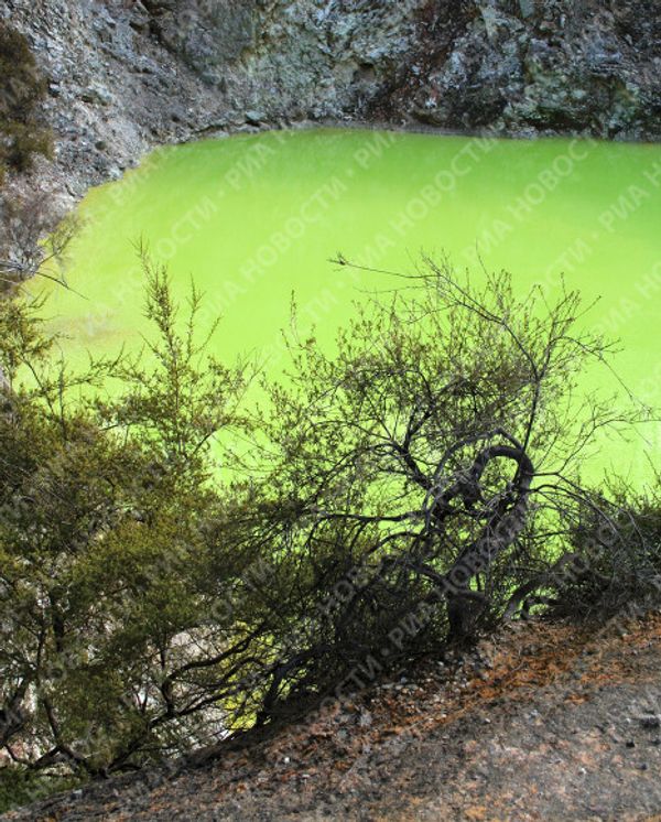 “Artist’s palette” and “The Champagne Pool”: Wai-O-Tapu Thermal Wonderland - Sputnik International