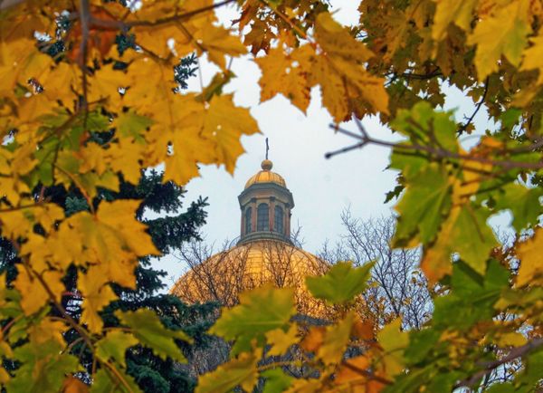 Fall in St. Petersburg Fall in St. Petersburg - Sputnik International