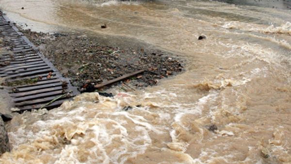 Over 40 dead in Brazil mudslides Over 40 dead in Brazil mudslides - Sputnik International