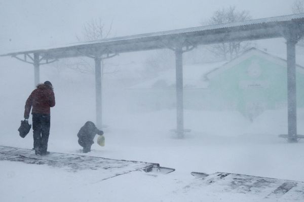 Snowstorm cuts off 60 cars in Russia's Far East - Sputnik International