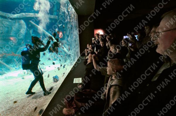 Russia’s largest oceanarium opens in Sochi - Sputnik International