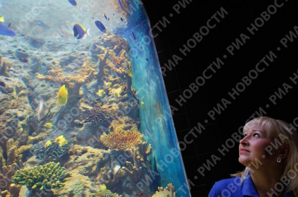 Russia’s largest oceanarium opens in Sochi - Sputnik International
