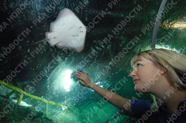 Russia’s largest oceanarium opens in Sochi - Sputnik International
