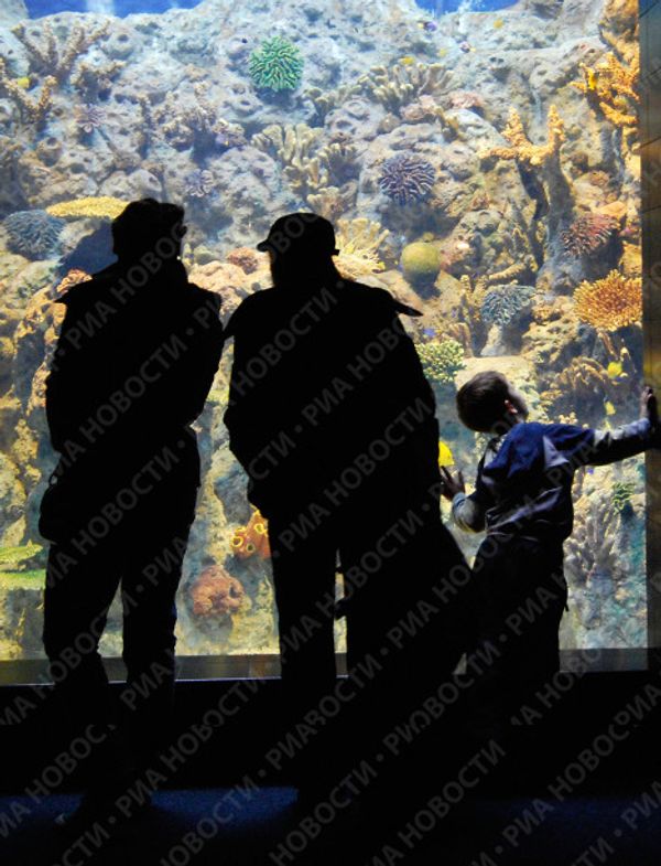 Russia’s largest oceanarium opens in Sochi - Sputnik International