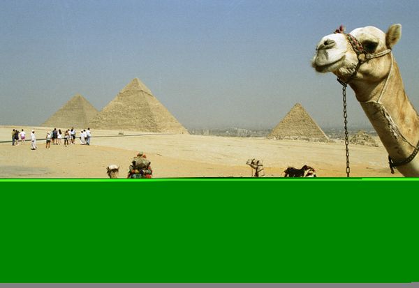  Tombs of Great Pyramid's builders discovered in Egypt  - Sputnik International