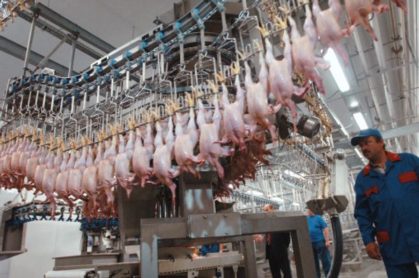 Thailand may supply poultry to Russia to replace U.S. imports - Sputnik International