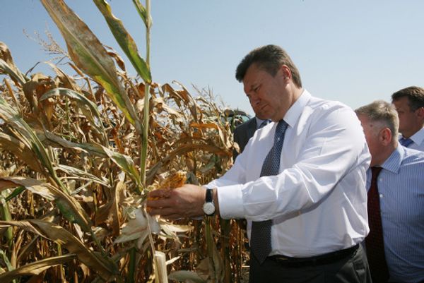 Front-runner in the Ukrainian presidential elections, Viktor Yanukovych Front-runner in the Ukrainian presidential elections, Viktor Yanukovych - Sputnik International