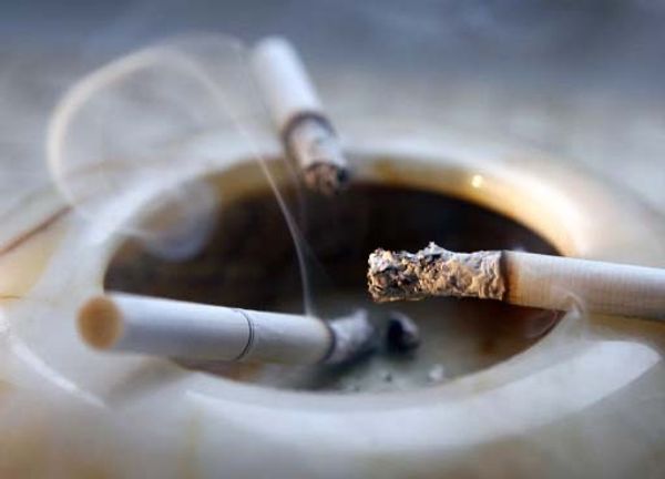Russian tobacco producer pushes for licensing versus sales bans - Sputnik International
