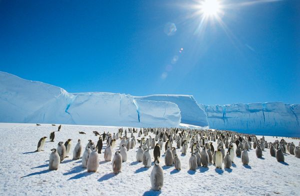 Under international law, each of the five Arctic Circle countries has a 322-kilometer (200-mile) exclusive economic zone in the Arctic Ocean. - Sputnik International