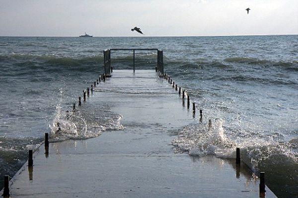 Photo by Dmitry Medvedev - Sputnik International