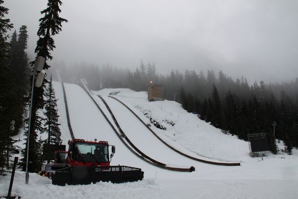 Whistler - Sputnik International