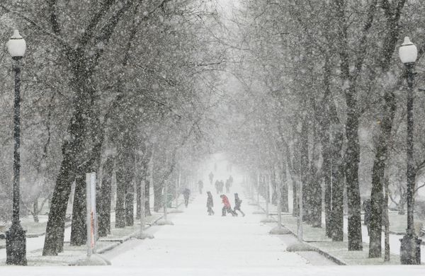 12,000 snow clearing vehicles, 8,000 dump trucks and 5,500 people were used in the snow fighting effort on Saturday-early Sunday. - Sputnik International
