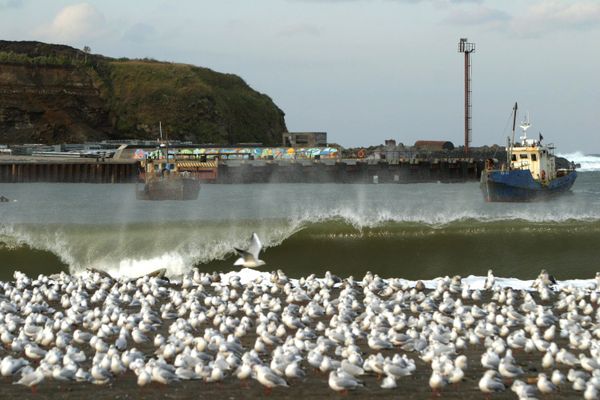 Iturup island. Sakhalin region. - Sputnik International