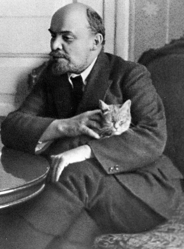 Cats and their famous owners - Sputnik International