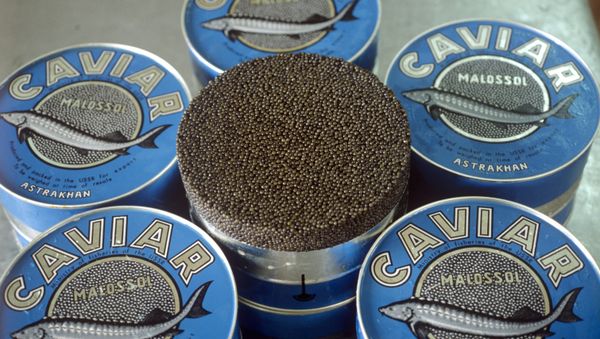 Within the next 15 days, Russia will send sturgeon roe to the northwestern Argentinean province - Sputnik International