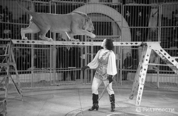 Animal tamer Irina Bugrimova with lions at her feet Animal tamer Irina Bugrimova with lions at her feet - Sputnik International