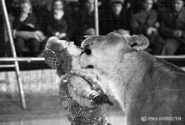Animal tamer Irina Bugrimova with lions at her feet Animal tamer Irina Bugrimova with lions at her feet - Sputnik International