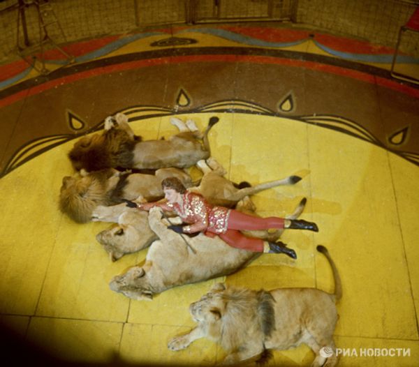 Animal tamer Irina Bugrimova with lions at her feet Animal tamer Irina Bugrimova with lions at her feet - Sputnik International