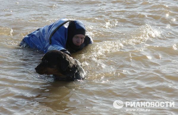 Rescuers training to mitigate the consequences of spring floods  - Sputnik International