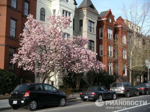 Spring comes to Washington - Sputnik International